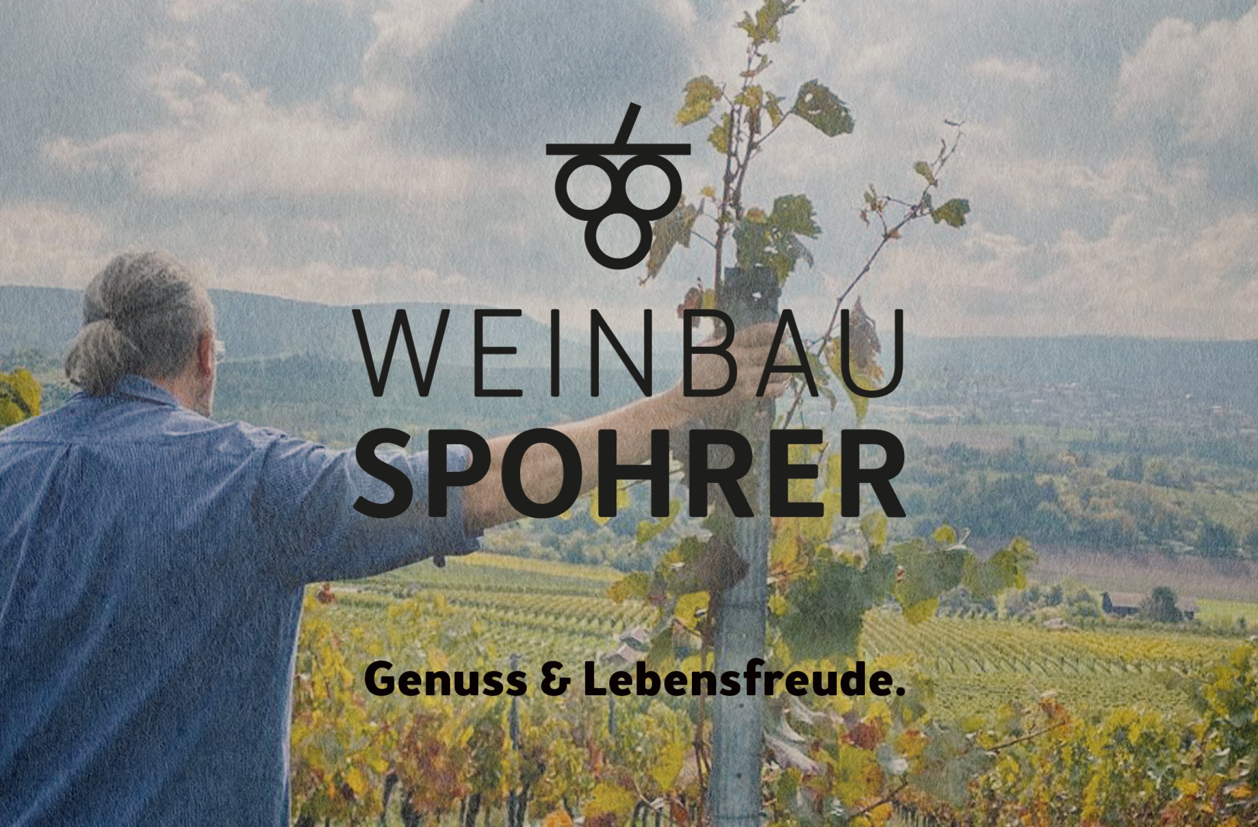 Weinbau Spohrer, Erlenbach, Marke, Design, Dachmarke